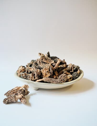 Morel Mushrooms