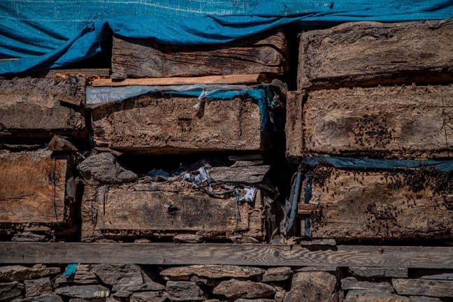 Traditional wooden beehives in Humla
