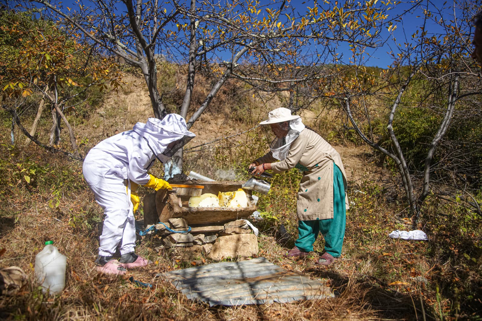 Beekeepers working in the Himalayan mountains